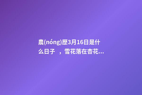 農(nóng)歷3月16日是什么日子，雪花落在杏花上-第1張-觀點(diǎn)-玄機(jī)派